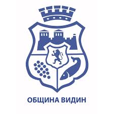 Община Видин